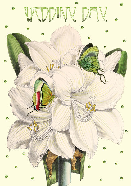White amaryllis - glitter wedding card