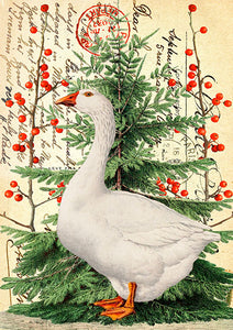 Christmas goose - Christmas card