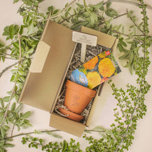 Load image into Gallery viewer, Birthflower seed box kit
